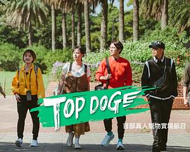麻豆传媒app《TOP DOG》免费在线观看