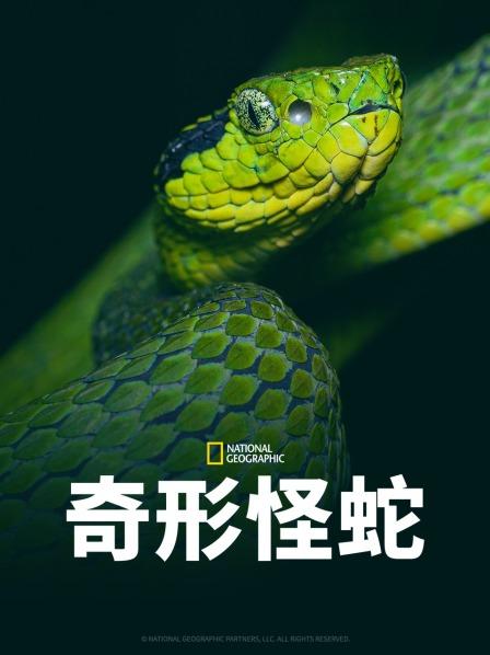 麻豆传媒AV《奇形怪蛇》免费在线观看